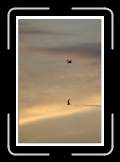 vol de stern 04 * 474 x 700 * (42KB)